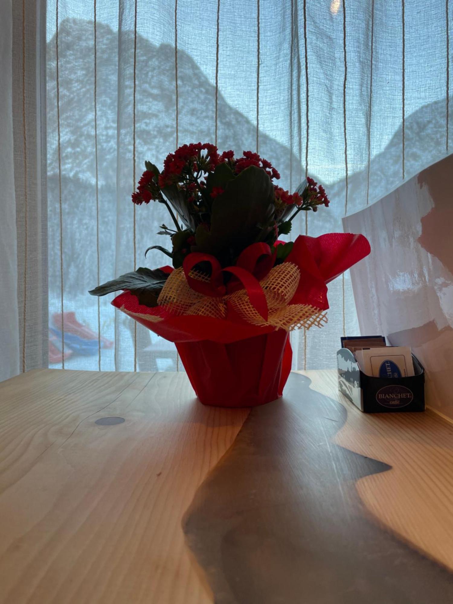 B&B Il Nido Sappada Zewnętrze zdjęcie